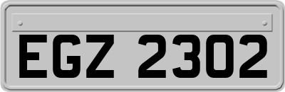 EGZ2302