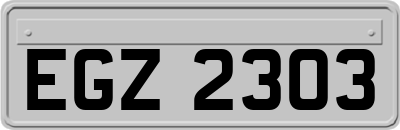 EGZ2303