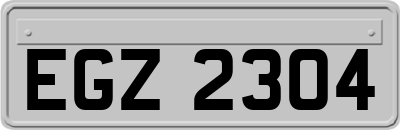 EGZ2304