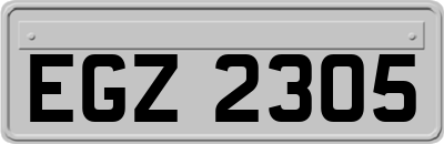 EGZ2305