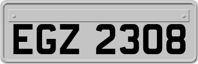 EGZ2308