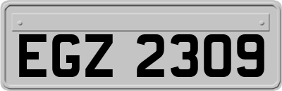 EGZ2309