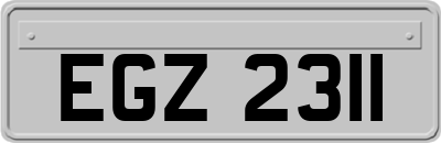 EGZ2311