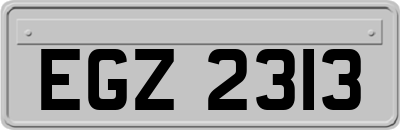 EGZ2313