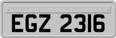 EGZ2316