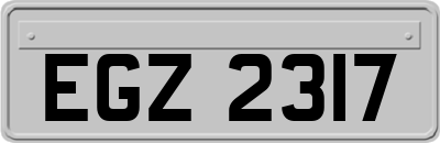 EGZ2317