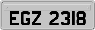 EGZ2318