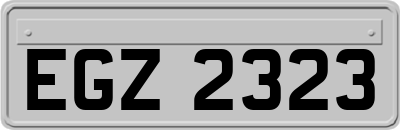 EGZ2323