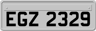 EGZ2329