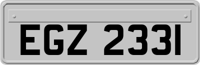 EGZ2331