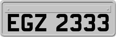 EGZ2333