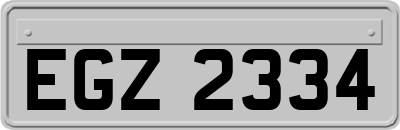 EGZ2334