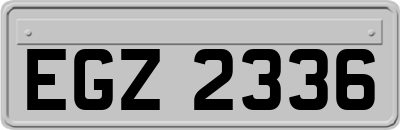 EGZ2336