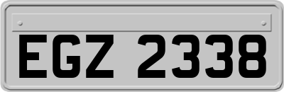 EGZ2338