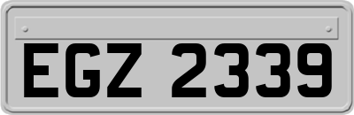 EGZ2339