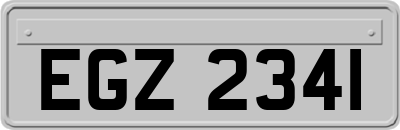 EGZ2341