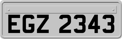 EGZ2343
