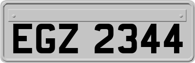 EGZ2344