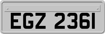 EGZ2361
