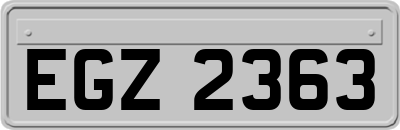 EGZ2363