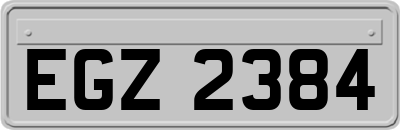 EGZ2384