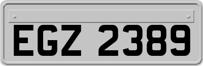 EGZ2389