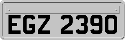 EGZ2390