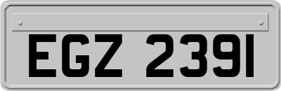EGZ2391