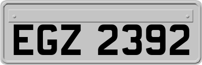 EGZ2392