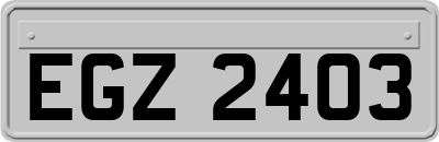 EGZ2403