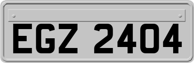EGZ2404