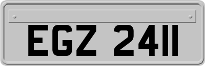 EGZ2411