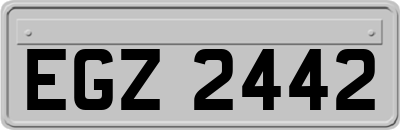 EGZ2442