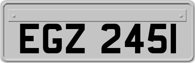 EGZ2451