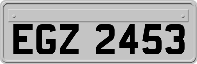 EGZ2453