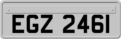 EGZ2461