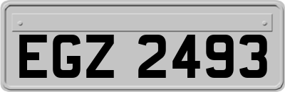 EGZ2493