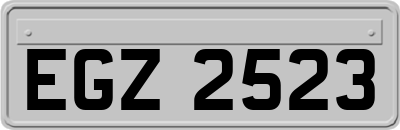 EGZ2523