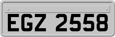 EGZ2558