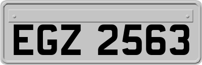 EGZ2563