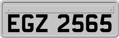 EGZ2565