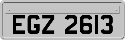 EGZ2613