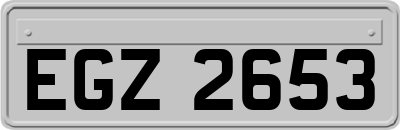 EGZ2653