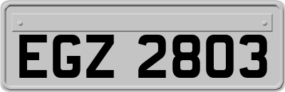 EGZ2803