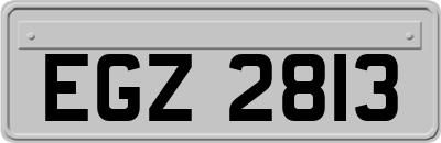 EGZ2813