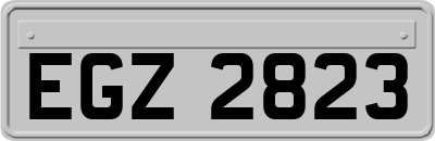 EGZ2823