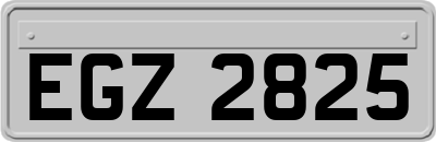 EGZ2825