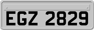 EGZ2829