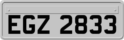 EGZ2833