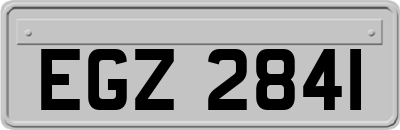 EGZ2841